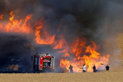 حريق يلتهم إحدى مزارع محصول الحنطة في النجف