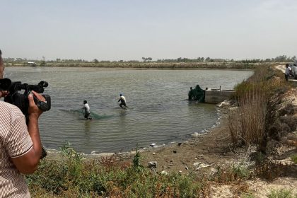 الموارد: إزالة بحيرات الأسماك وفرت كميات كبيرة من المياه