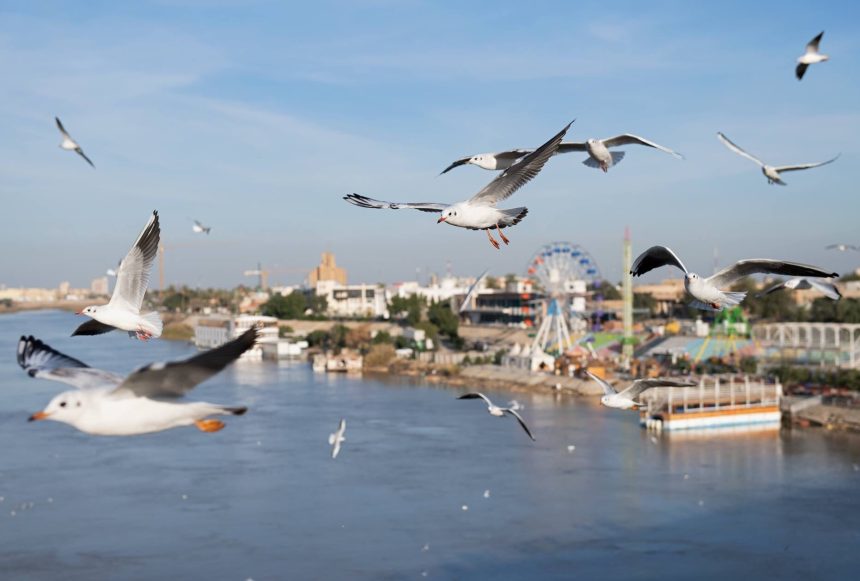 طقس العراق.. انخفاض بدرجات الحرارة خلال الايام المقبلة