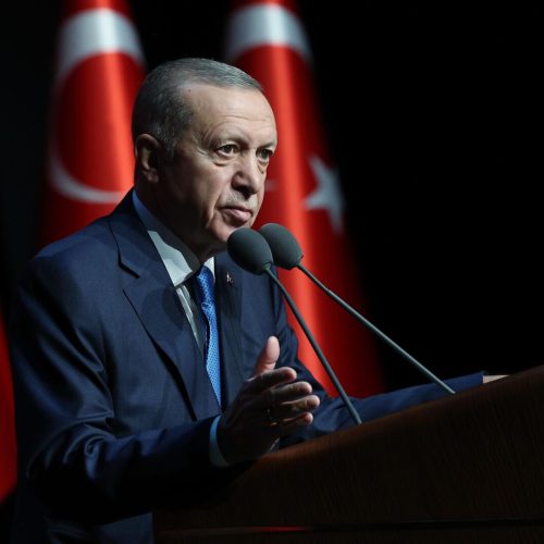 أردوغان: مجلس الأمن تحول إلى مؤسسة تحمي إسرائيل منذ 7 أكتوبر