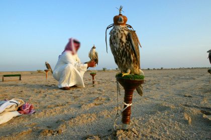 هجوم مسلح يستهدف صيادين كويتيين في صلاح الدين ومصيرهم ما زال مجهولاً