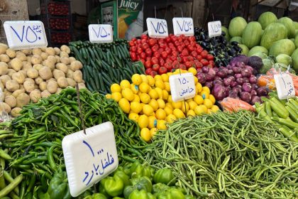 المجلس الاقتصادي: إيقاف استيراد "الخيار والبصل والشجر والرقي والبطيخ" لوفرتها محلياً