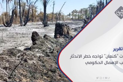 غابات "كنعان" تواجه خطر الاندثار بسبب الإهمال الحكومي