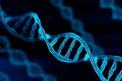 ‏تسليم 1233 من جثامين شهداء سبايكر إلى ذويهم بعد نتائج DNA