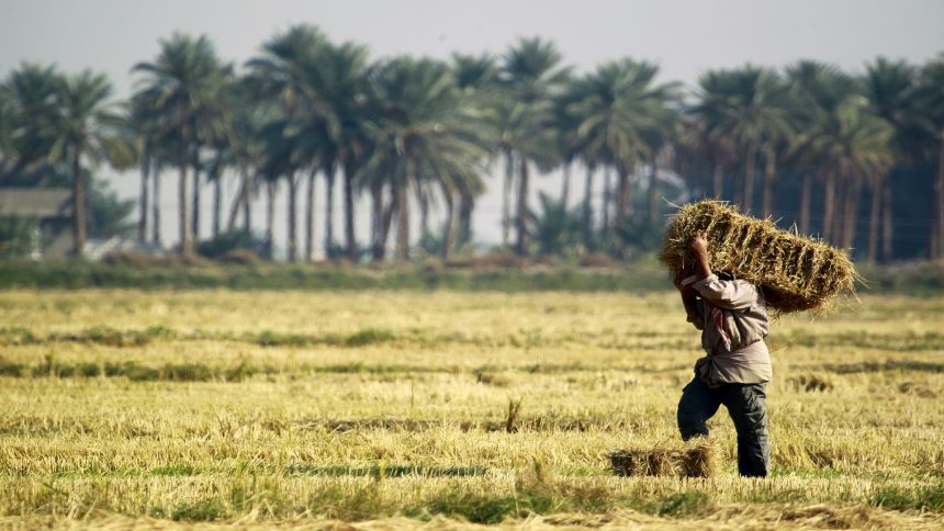 العراق يفقد 25% من أراضيه الزراعية بسبب التغييرات المناخية