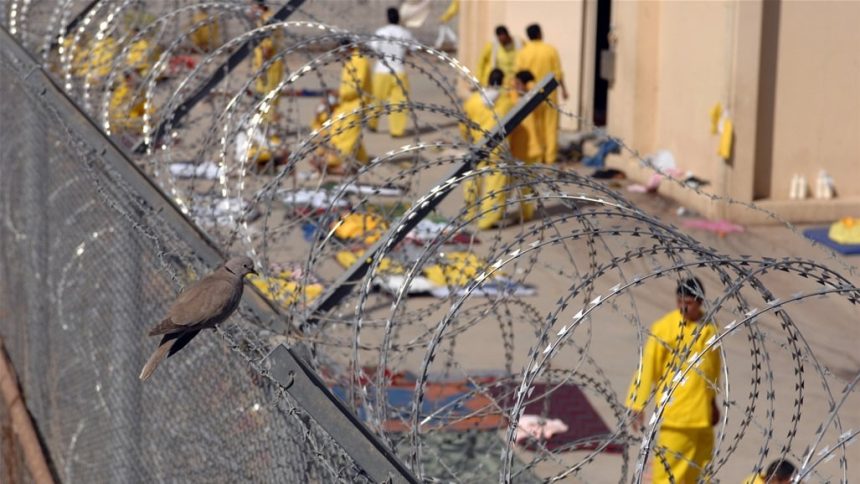 العدل: عدد المطلق سراحهم من المشمولين بقانون العفو العام وصل إلى 1000 نزيل