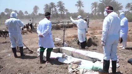 تزايد حالات الاصابة بالحمى النزفية والصحة تكثف حملات التوعية