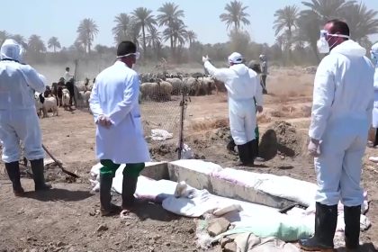 تزايد حالات الاصابة بالحمى النزفية والصحة تكثف حملات التوعية